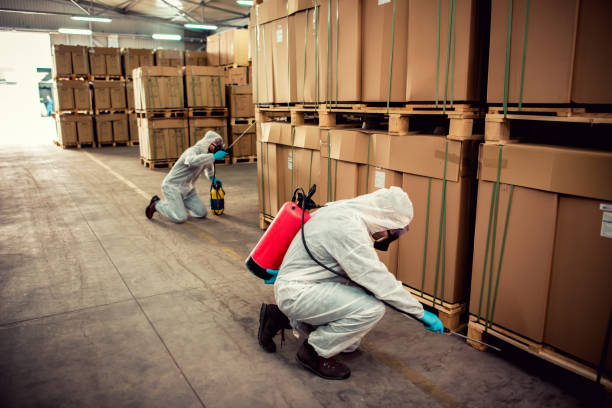 Best Bed Bug Extermination  in Evergreen, CO